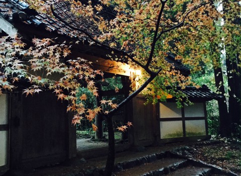 平泉　中尊寺　行ってきました！